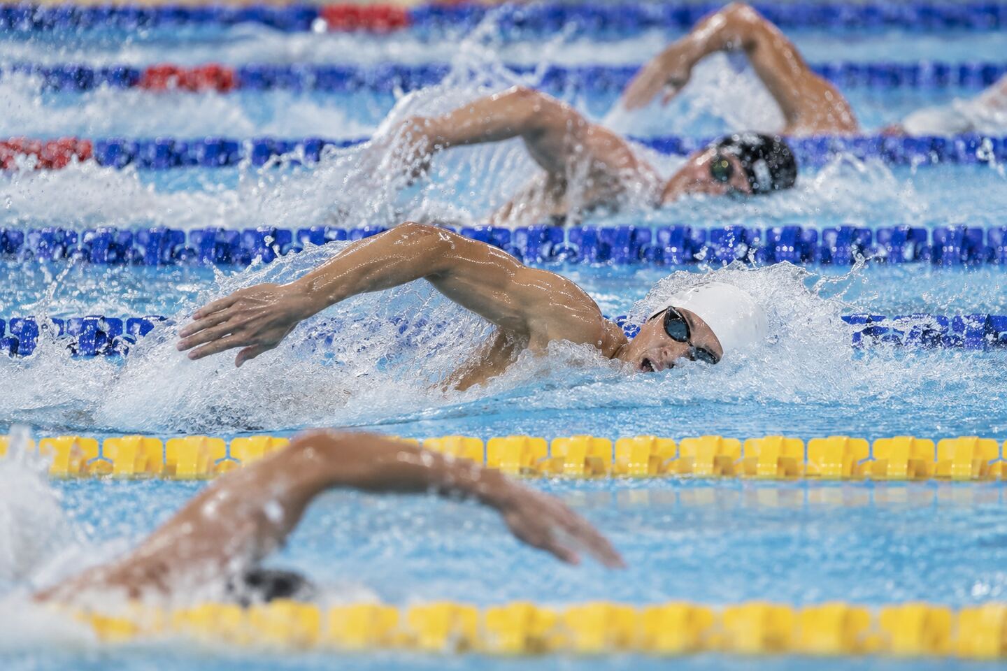 游泳运动员在泳池进行自由泳竞速的比赛画面